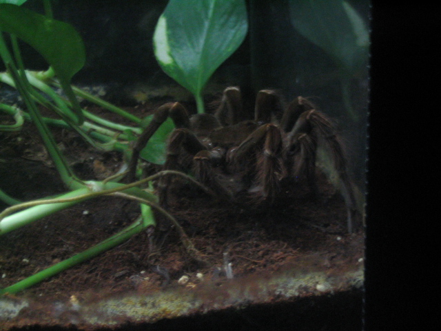 618x457 pixels (144K)